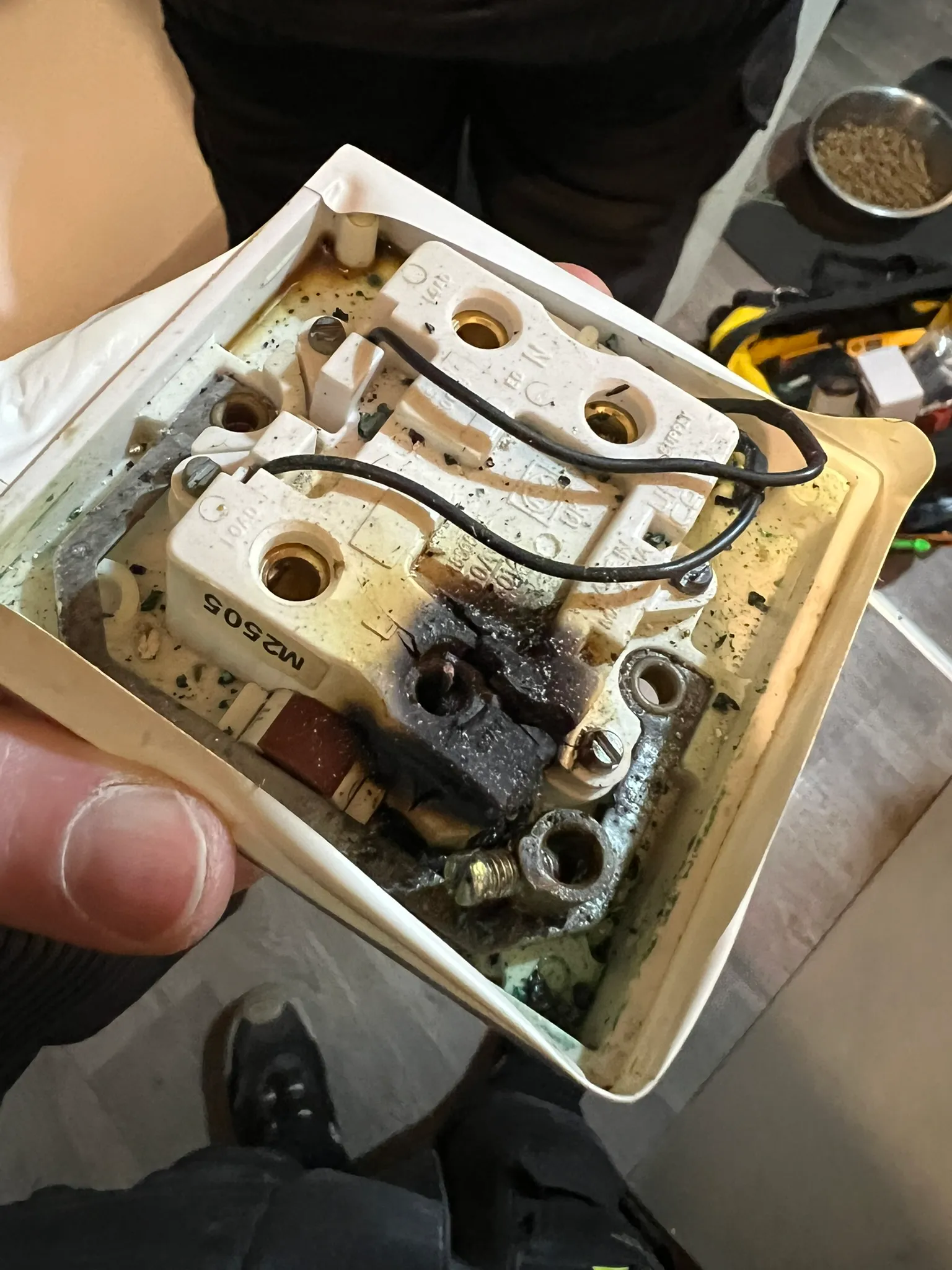 Rear of a socket showing blackened and deformed material around a terminal