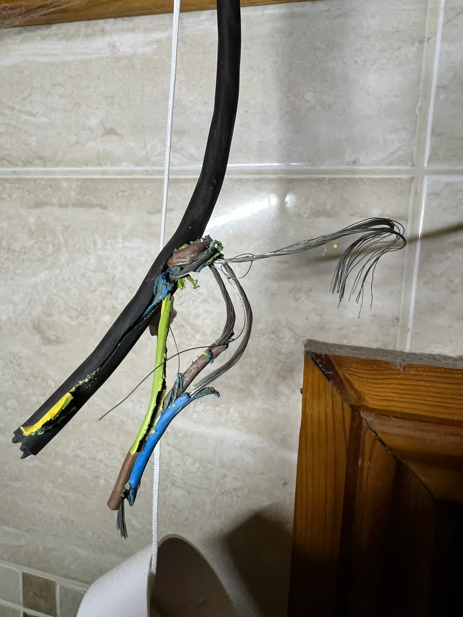 Cable with split outer covering, damaged coloured insulation and exposed wire strands