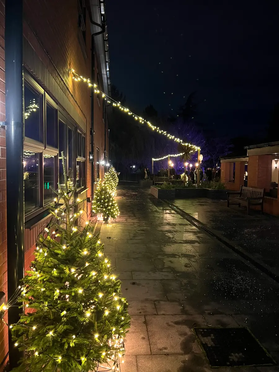 Garden path at night with strings of lights and illuminated planting beside the building