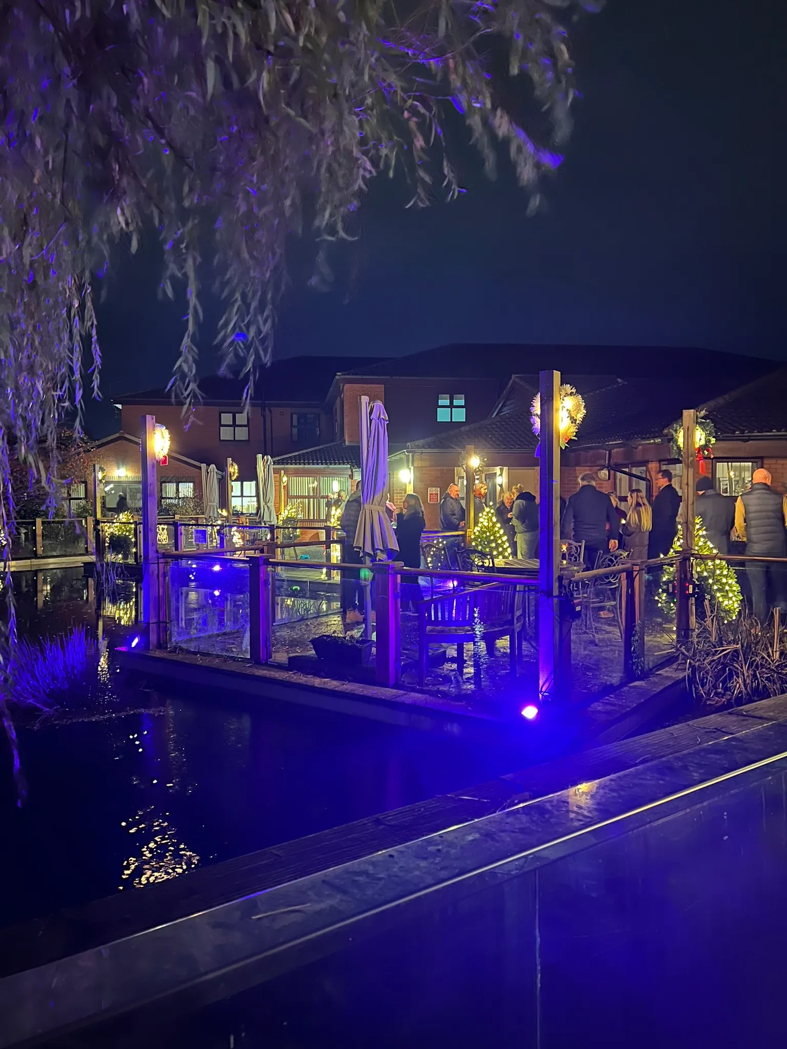 Lanterns beside the garden pond at night, with blue light reflected in the water