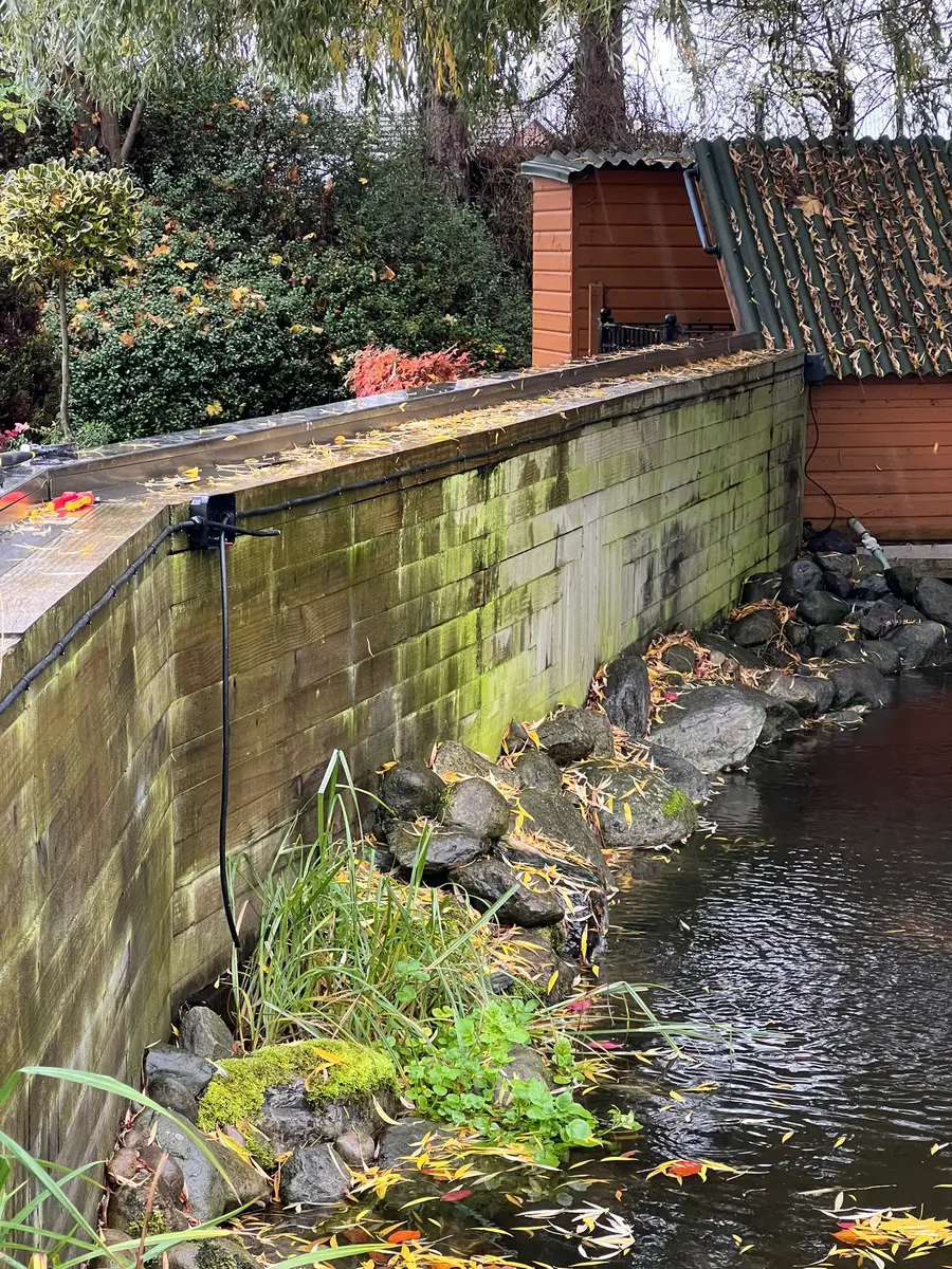 Pond-side brick wall and garden planting in daylight